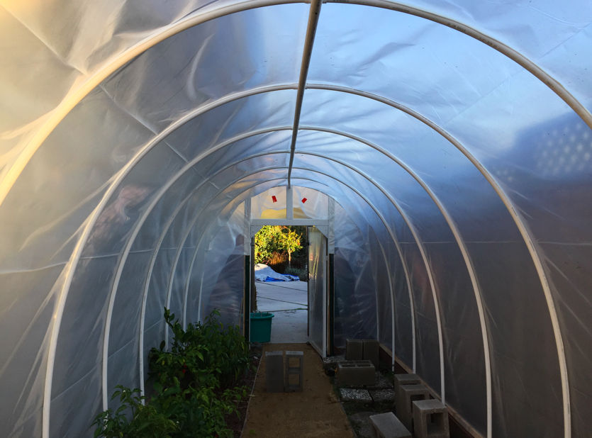 View inside the greenhouse after the sides are secured.